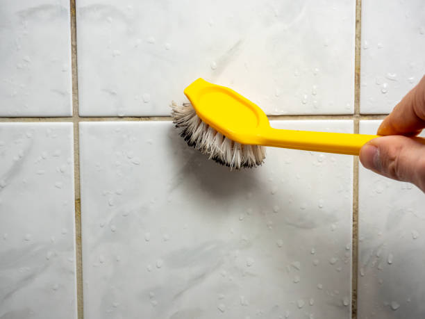 Best Mold Cleaning Services  in Portage, MI