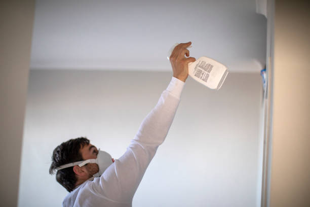 Best Best Mold Removal Companies  in Portage, MI